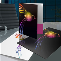 FOLDERS - Standard FOLDERS - Standard